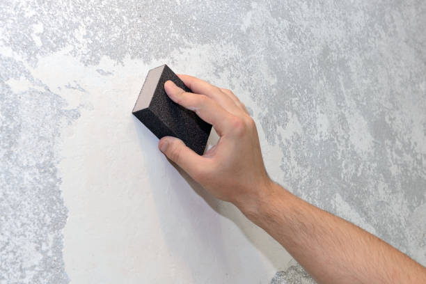 Best Water Damage & Mold Remediation  in Barre, VT