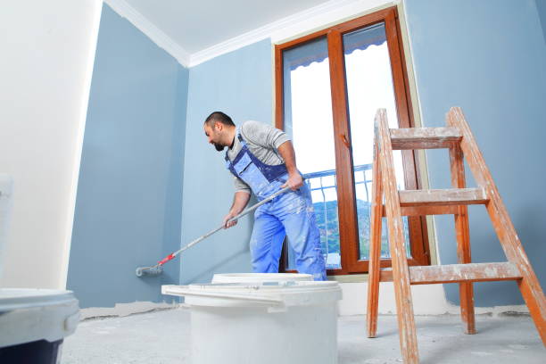 Best Mold Damage Restoration  in Barre, VT