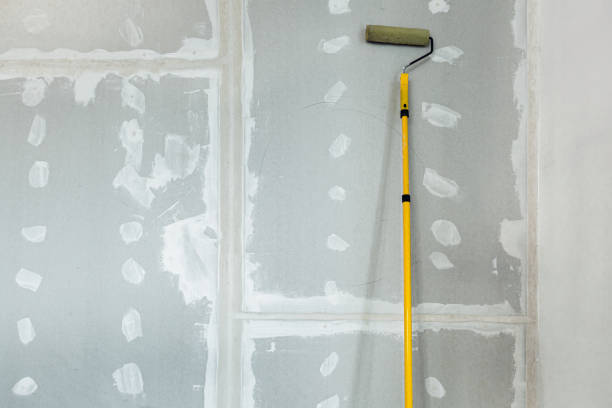 Best Mold Prevention Services  in Barre, VT
