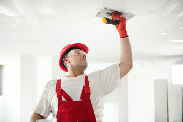 Biohazard Mold Removal in Barre, VT