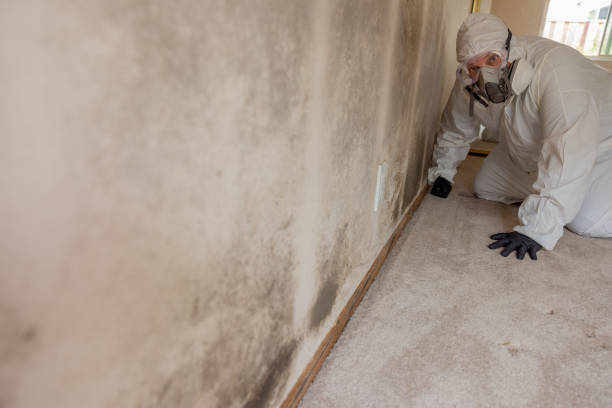 Asbestos and Lead Testing During Mold Inspection